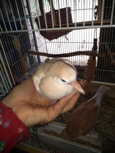 18:19:27 GMT-0500 (CDT)