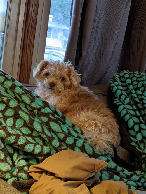 06:10:57 GMT-0500 (CDT)