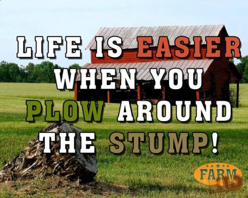 life is easier when you plow around the stump