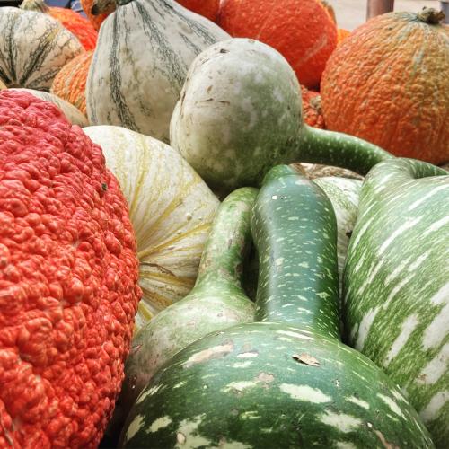 C395394A-D3D1-43F6-98C7-821FB40DCAEC