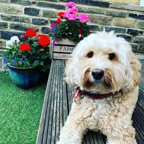 IMG_20201017_011705_459