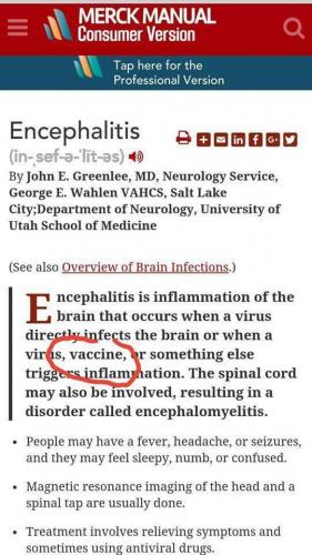 FB_IMG_1539195493059