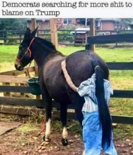 11:37:18 GMT-0400 (EDT)