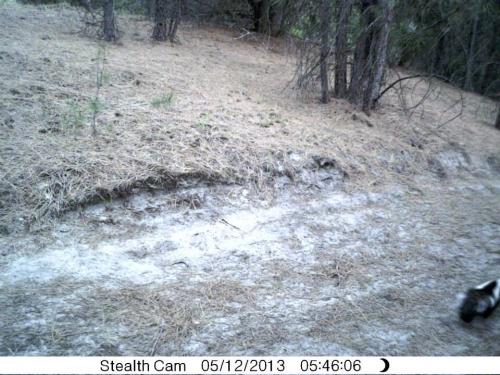 970618_10201232731398932_768092710_n_10201232731398932