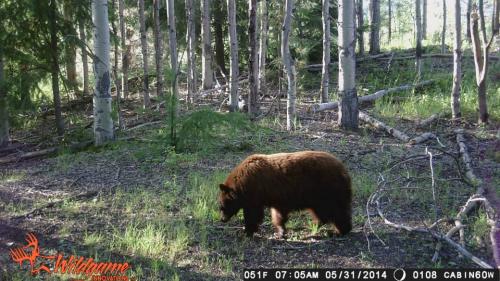 10592655_10204668934901872_198948154760261380_n_10204668934901872