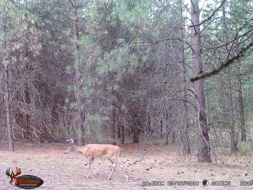 67883847_10219691358933084_626671608643190784_o_10219691358853082