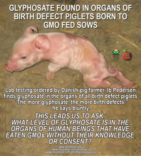 904223_678137818893351_2033730668_o