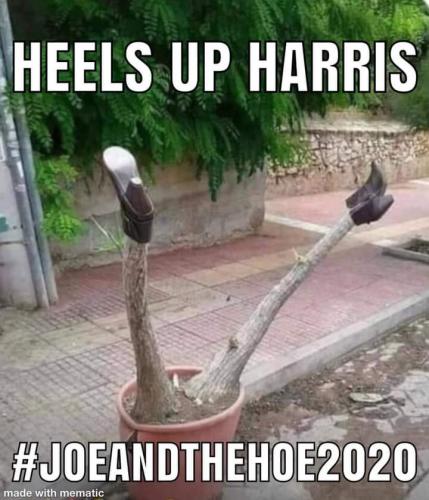 FB_IMG_1597278656561