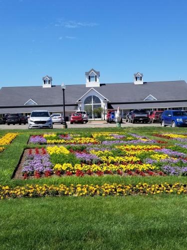 19:29:50 GMT-0600 (MDT)