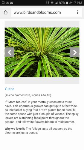 20233044_10203382688563861_1641809374251078249_o_10203382688563861