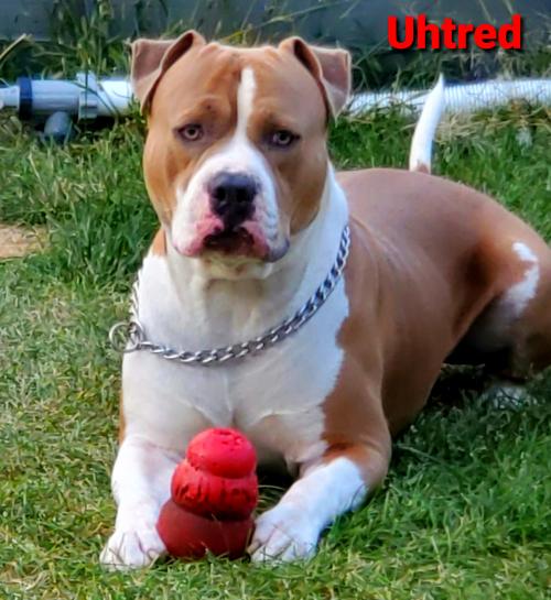 18:25:42 GMT-0600 (MDT)