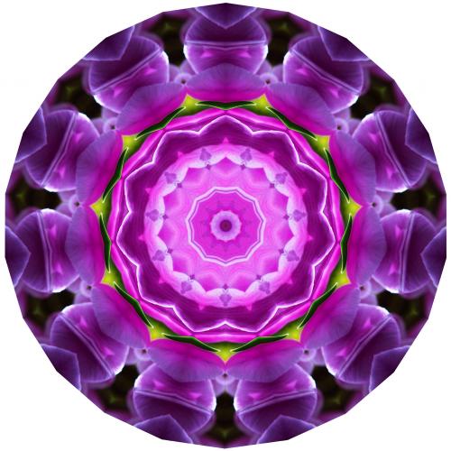 300822A5-C038-4722-A620-5F9B48CBBDAB