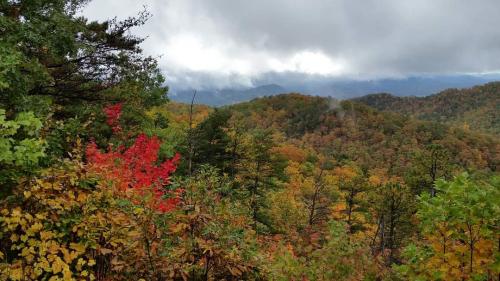 FB_IMG_1601513323921