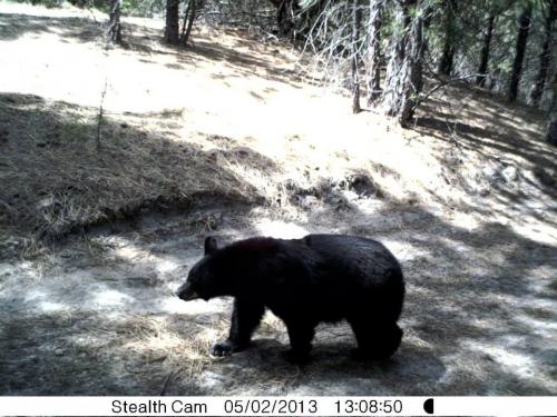 419986_10201232732638963_215759334_n_10201232732638963