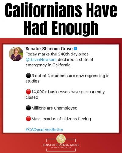 123257695_2803850493271419_1954362195171736346_o