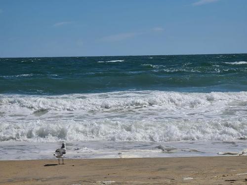 19:59:53 GMT-0400 (EDT)