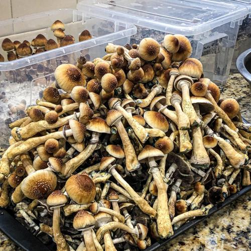 09:30:32 GMT+0100 (BST)