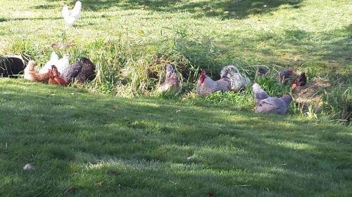 21:50:18 GMT-0700 (PDT)