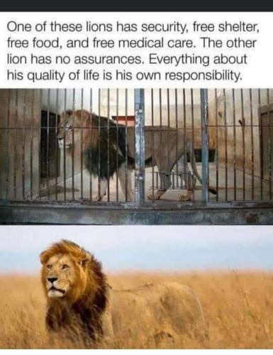 08:44:12 GMT-0400 (EDT)