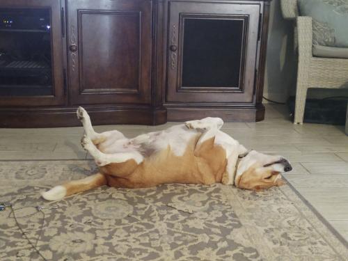 14:31:56 GMT-0500 (CDT)