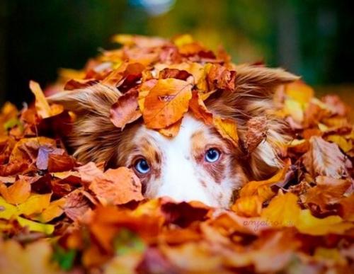 tumblr_p0km91Hfgf1wew1lvo1_540