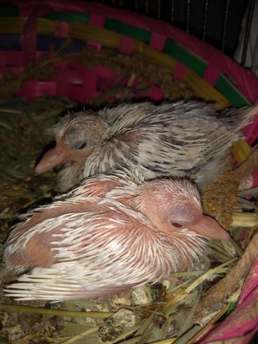 18:19:27 GMT-0500 (CDT)