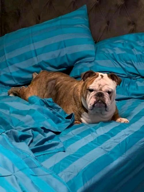 16:02:16 GMT+0100 (WAT)