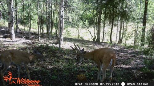 1146732_10201794161754340_1221212567_n_10201794161754340