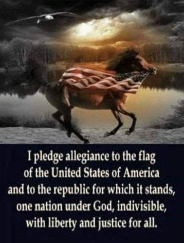 FB_IMG_1601658881542