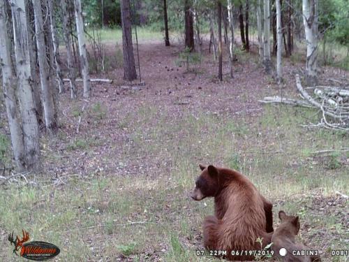 67406024_10219691359013086_8821267908588994560_o_10219691358973085