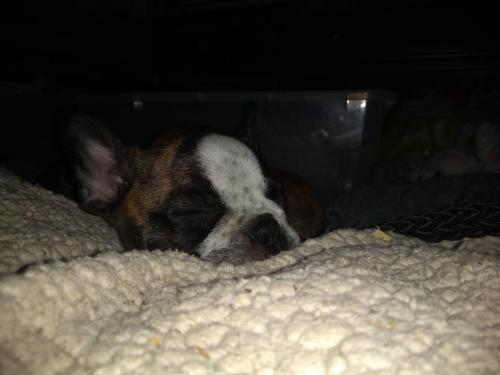 07:12:54 GMT-0500 (CDT)