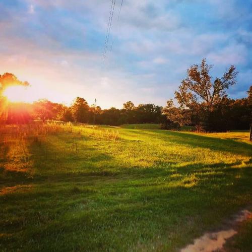 21:50:20 GMT-0500 (CDT)