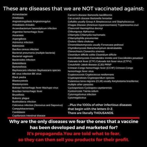 FB_IMG_1556109452380