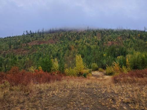 08:52:51 GMT-0700 (PDT)