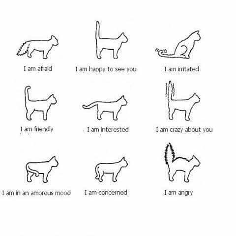 36990005_10204653335569242_6310626543576023040_n_10204653335529241