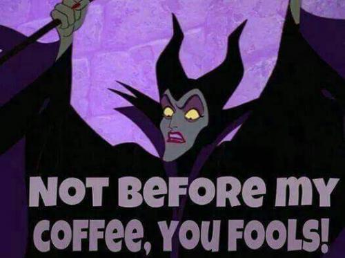 12924519_10201459653689191_6793834718878518531_n_10201459653689191