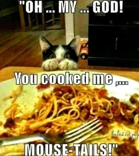 13:59:52 GMT-0500 (CDT)