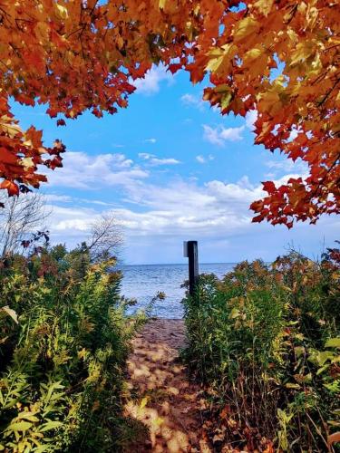 18:05:18 GMT-0400 (EDT)