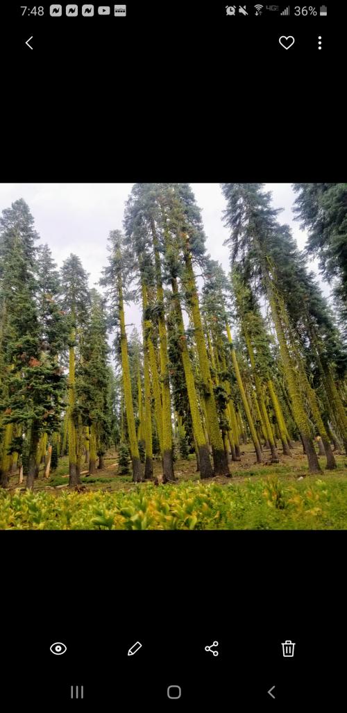 Screenshot_20200918-194850_Gallery