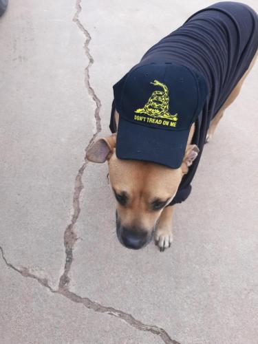 08:08:17 GMT-0500 (CDT)