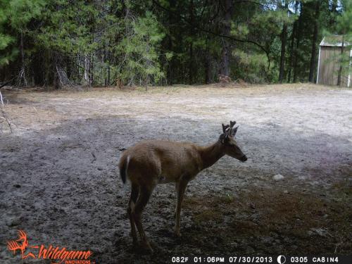 994902_10201794162994371_1628631302_n_10201794162994371