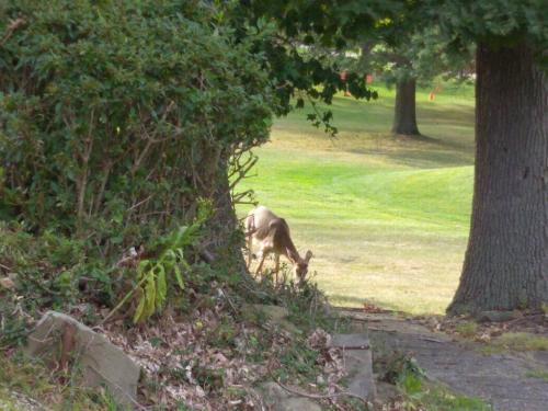 21743195_10203572485588668_8521374606337849727_n_10203572485588668