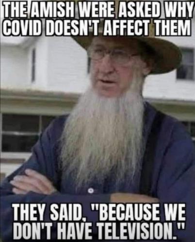 The Amish