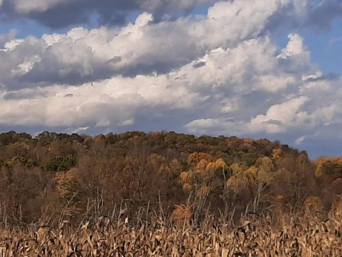 21:45:06 GMT-0400 (EDT)