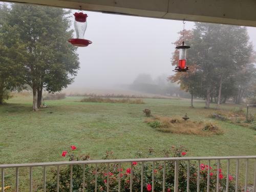 01:04:14 GMT-0400 (EDT)