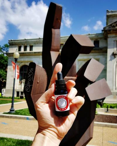 18953161_1537070472990307_1709517354295908556_o