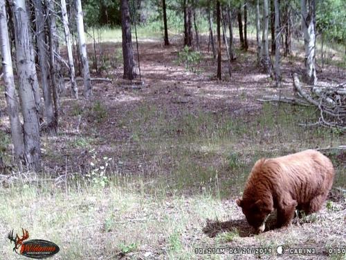 67358609_10219678056920542_9140039161527402496_o_10219678056840540