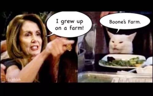 FB_IMG_1598881796060