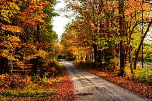 bethel-maine-fall-5a021aabda2715003704f7e2