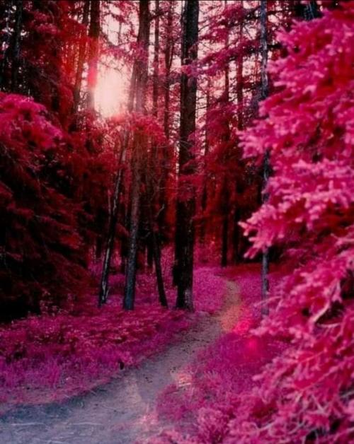 13:42:03 GMT-0400 (EDT)